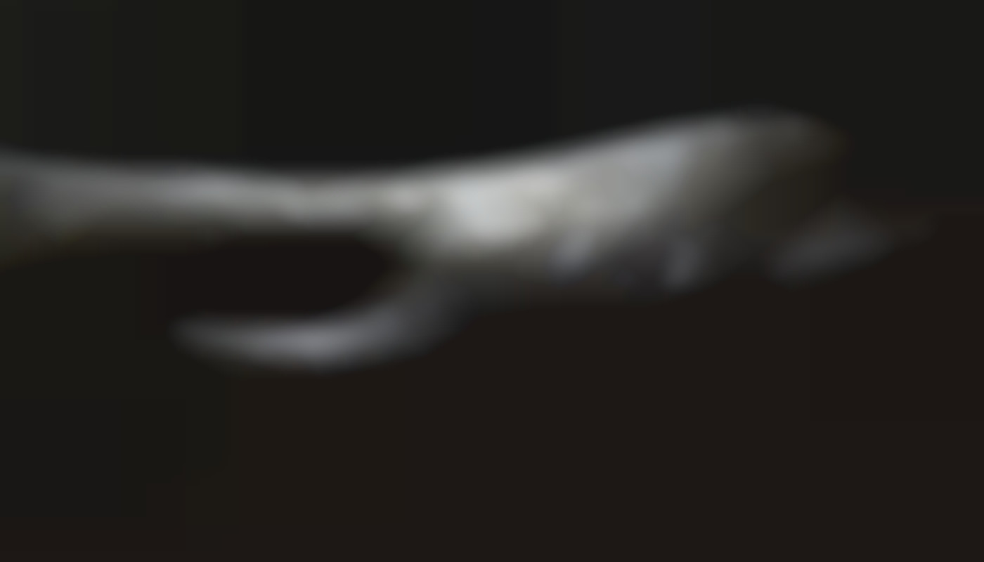 Exploration des tendances modernes dans les services de conversation érotique